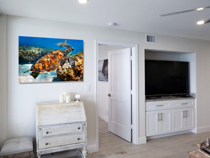 mock-ups of sea turtle 'wall art'