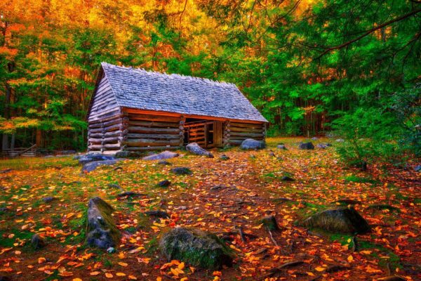 Alex Cole Cabin in Smoky Mountains Tennessee