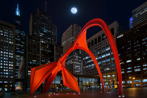 Flamingo in Downtown Chicago at Night under Full Moon