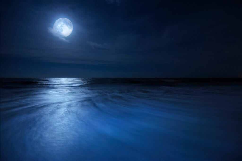 Full Moon over Beach in Florida
