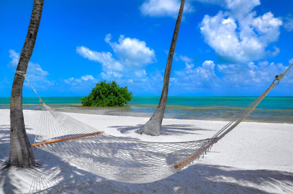Palm Tree Hammock Beach on Islamorada in Florida Keys