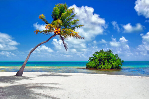 Palm Tree Island Beach on Islamorada in Florida Keys