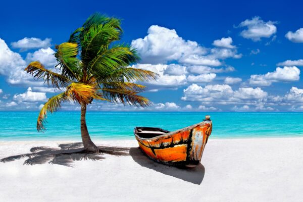 Palm Tree and boat on Beach on Islamorada in Florida Keys