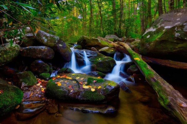 Roaring Fork Motor Trail stream waterfalls Smoky Mountains Tennessee