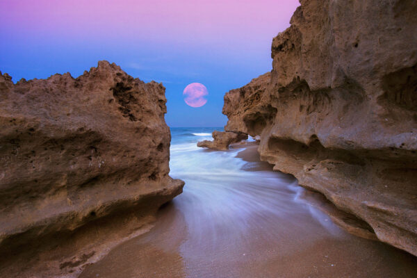 Pink Moon rising over Hutchinson Island Beach Rocks in Florida