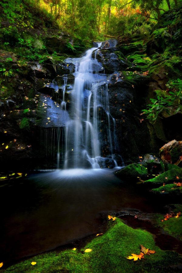 Waterfall in Tremont Smoky Mountains Tennessee