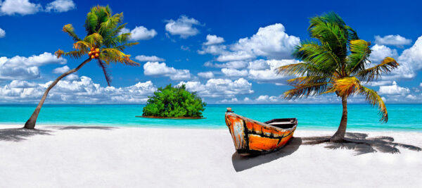 Palm Tree and boat on Beach on Islamorada in Florida Keys Panoramic
