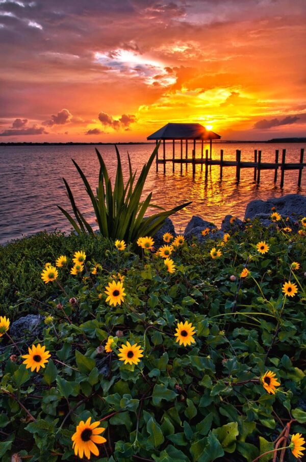 Sunset and flowers at Inlet Pier in Stuart Florida
