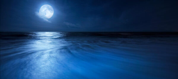 Full Moon over Beach in Florida Panoramic