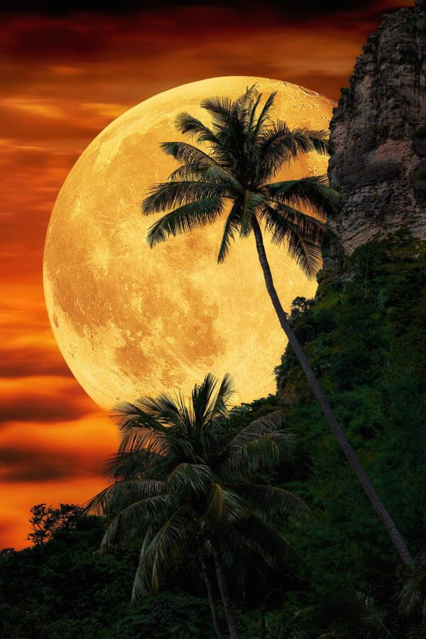 Super Moon over Hawaii Mountain and Palm Trees