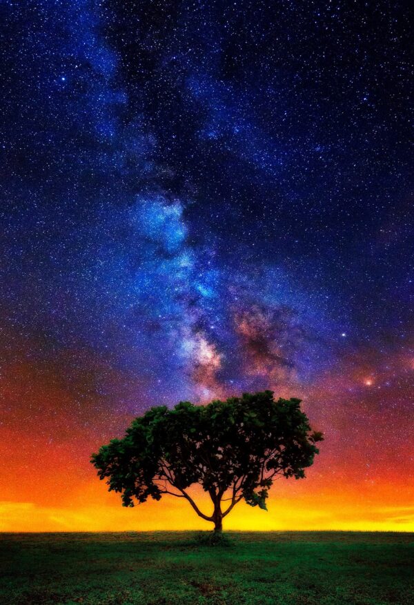 Night Colors Tree under Milky Way