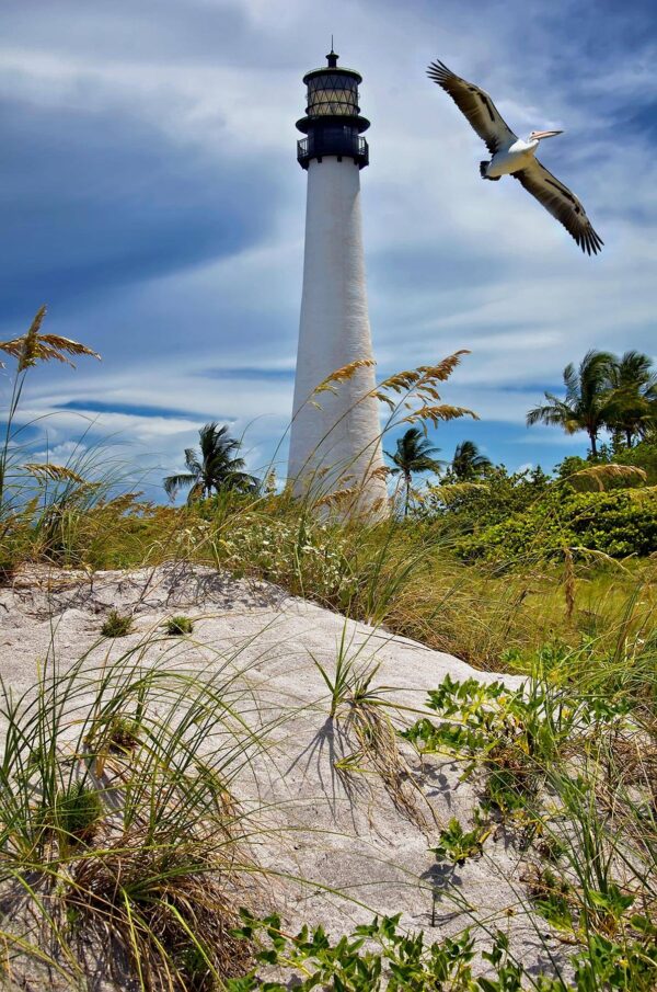 Pelican flying over Cape Florida lighthouse