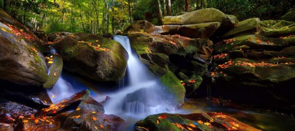Sunlit Waterfall at Great Smoky Mountains National Park Panoramic