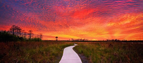 Beautiful Sunset over Jupiter Florida Panoramic