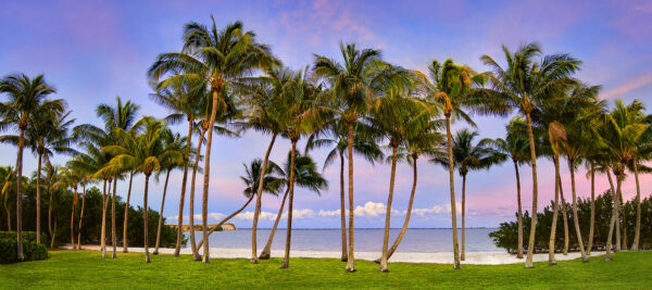 Stuart Florida Palm Beach with Palm Trees at Sunset Panoramic