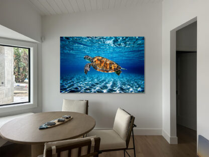 Sea Turtle swimming in clear water in Florida above kitchen table sample