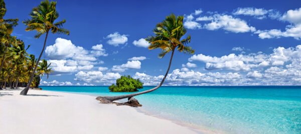Tropical Paradise Beach in the Florida Keys